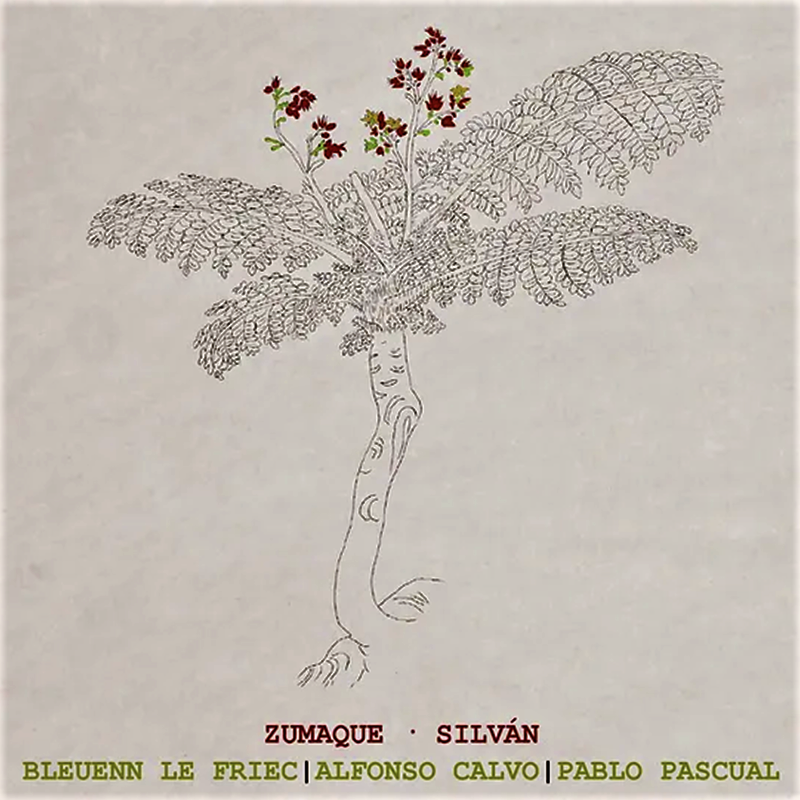 ZUMAQUE Silvan